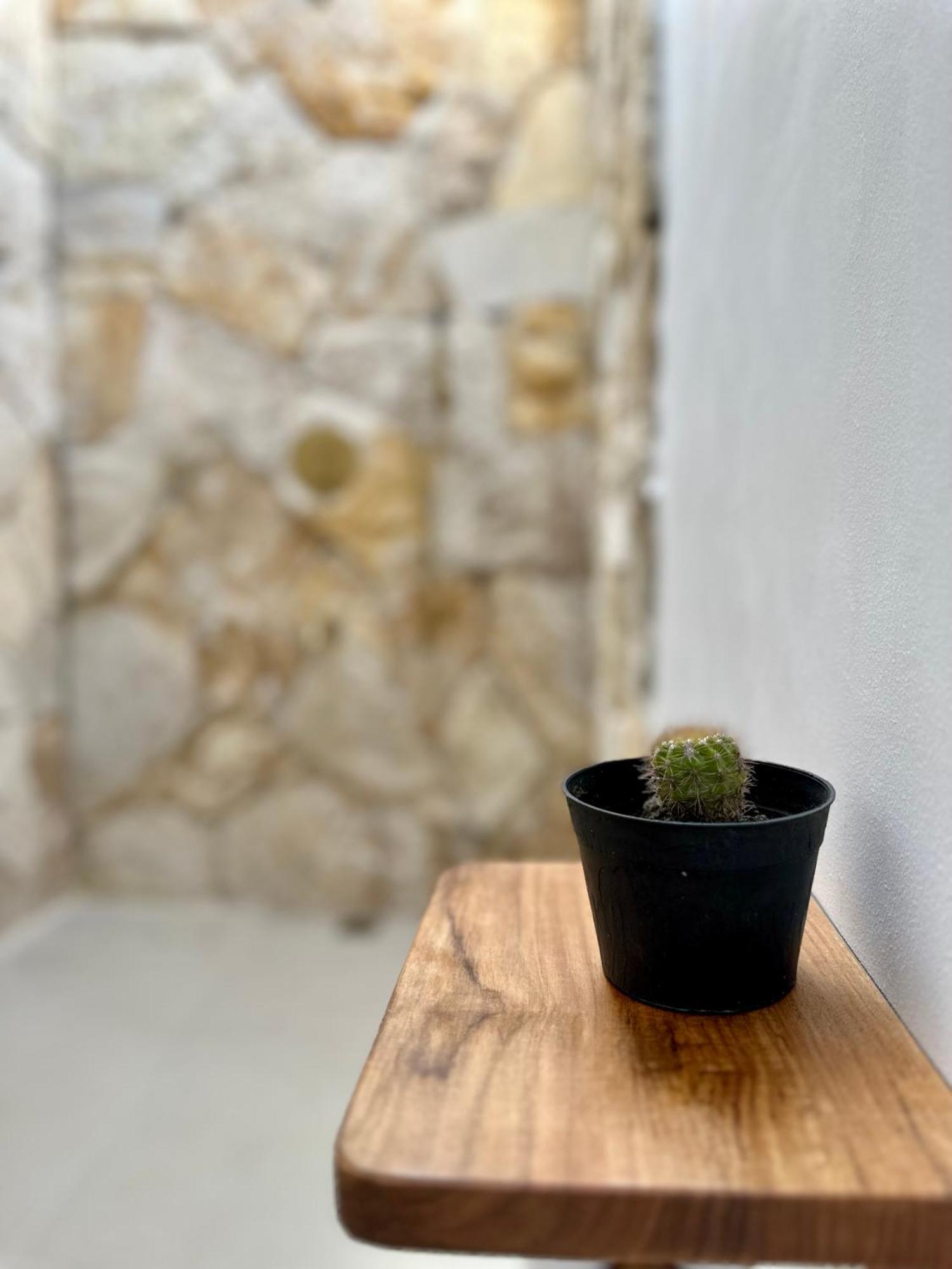 Rumah Canaria Bungalow غيلي تراوانغان المظهر الخارجي الصورة